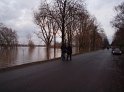 Hochwasser Koeln 2011 Tag 2 P414